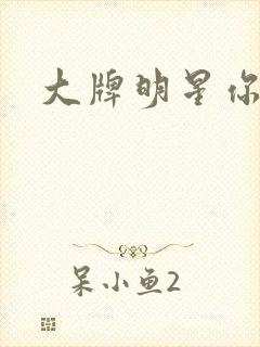 大牌明星你站住