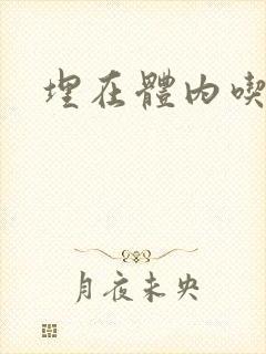 埋在体内吃饭h