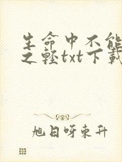 生命中不能承受之轻txt下载