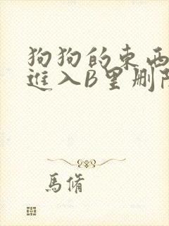 狗狗的东西直接进入B里删除