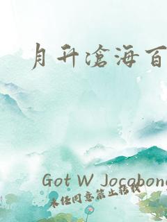 月升沧海百度云