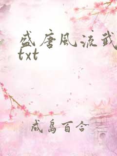 盛唐风流武状元txt