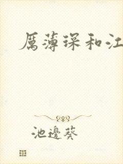 厉薄琛和江阮阮