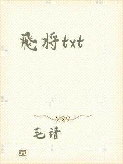 飞将txt