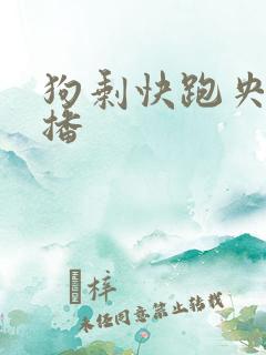 狗剩快跑央八首播