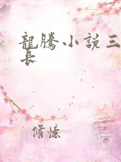 龙腾小说三宝局长