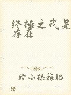 终极之我是神的存在