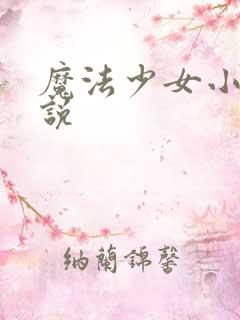 魔法少女小圆小说