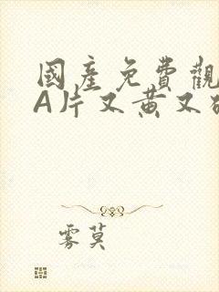 国产免费观看黄A片又黄又硬小说