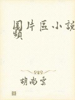 图片区小说区视频