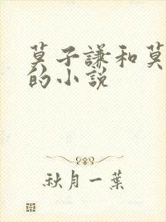 莫子谦和莫弯弯的小说