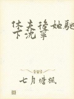 休夫后她驰骋天下沈宁