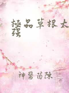 极品草根太子张强