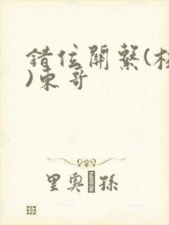 错位关系(校园)东哥