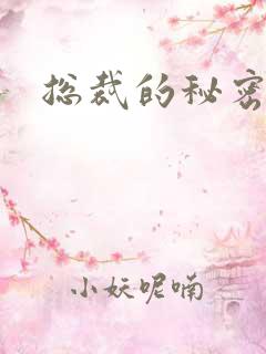 总裁的秘密娇妻