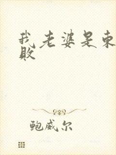 我老婆是东方不败