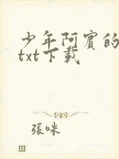 少年阿宾的故事txt下载