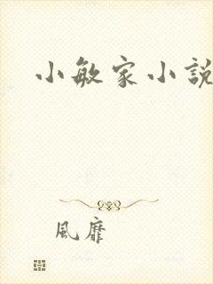 小敏家小说
