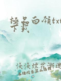 极品白领txt下载