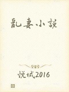 乱妻小说