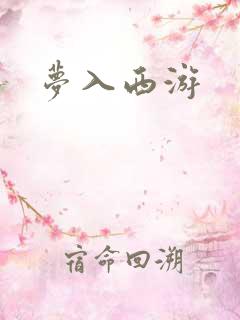 梦入西游