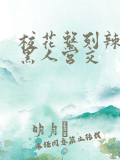 校花系列辣h文黑人宫交