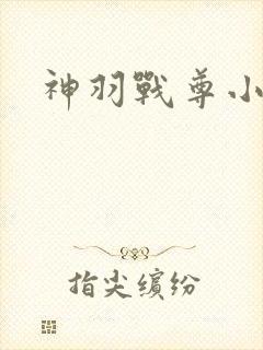 神羽战尊小说