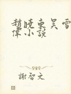 赵晓东吴雪晴郑伟小说