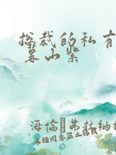 总裁的私有宝贝 暮山紫