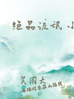 绝品流氓 小说