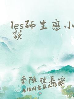 les师生恋小说