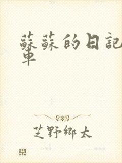 苏苏的日记公交车