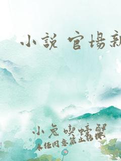 小说 官场新贵