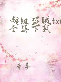 超级盗贼txt全集下载