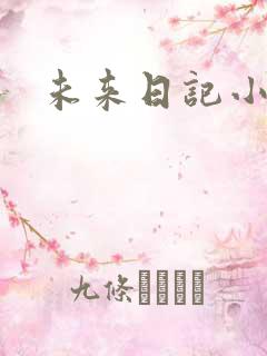 未来日记小说
