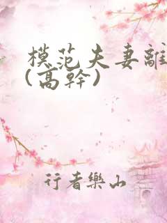 模范夫妻离婚了(高干)