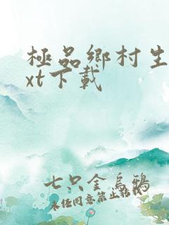 极品乡村生活txt下载