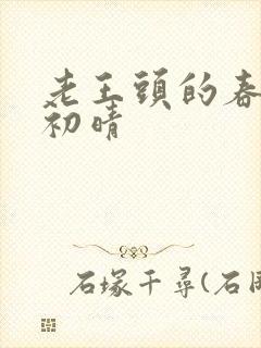 老王头的春天林初晴