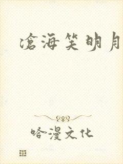 沧海笑明月