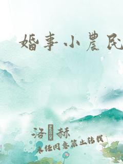 婚事小农民