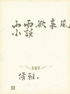 山雨欲来风满楼小说