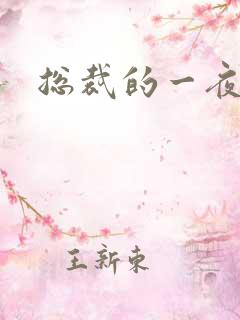 总裁的一夜情人