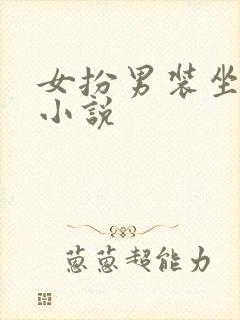 女扮男装坐江山小说