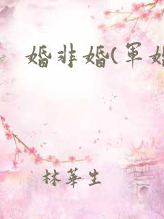 婚非婚(军婚)