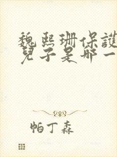 魏熙珊保护萧峥儿子是哪一集