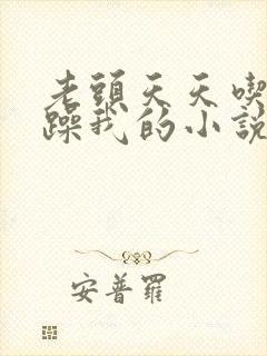 老头天天吃我奶躁我的小说