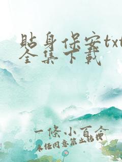 贴身保安txt全集下载