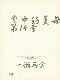 掌中的美母版主第14章