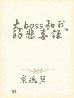 大boss和我的悲喜录