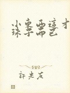 小东西这才一颗珠子而已